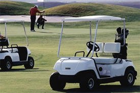 Golf Carts Plus, Fosston Minnesota