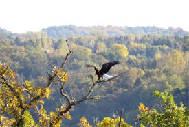 Carpenter Nature Center, Hastings Minnesota