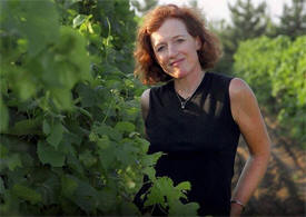 Alexis Bailly Vineyard, Hastings Minnesota