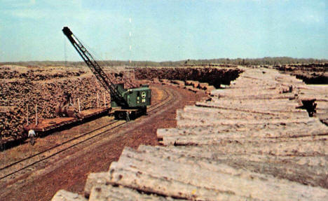 Pulp Wood Stack, International Falls Minnesota, 1960's