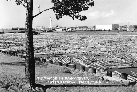 Pulpwood in Rainy River, International Falls Minnesota, 1950's