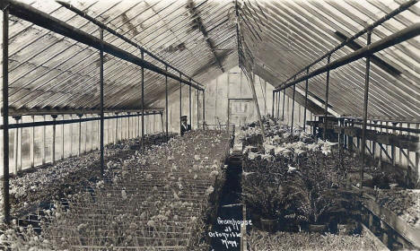 Greenhouse, Ortonville Minnesota, 1913