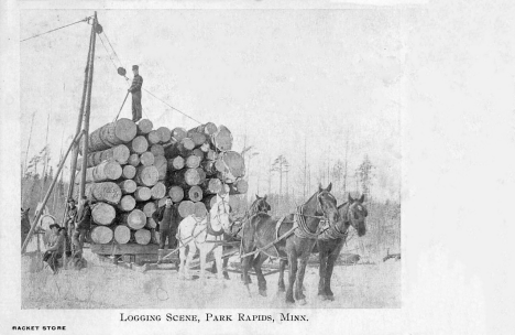 Logging scene, Park Rapids Minnesota, 1907