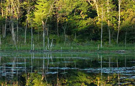 Murphy-Hanrehan Park Reserve, Savage Minnesota