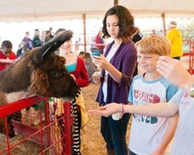 Severs Corn Maze & Fall Festival, Shakopee Minnesota