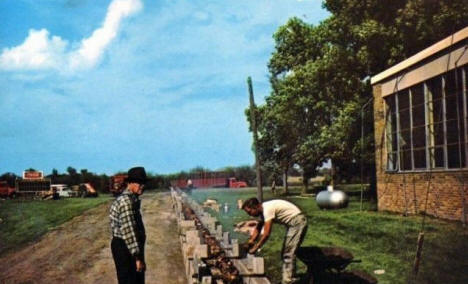 260 foot Turkey Barbecue Spit at Sword Days, Ulen Minnesota, 1969