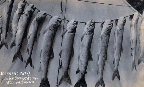 Morning Catch, Lake of the Woods, Warroad Minnesota, 1928