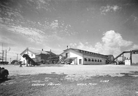 Canning factory, Wells Minnesota, 1950
