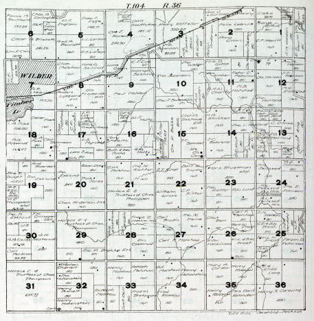 Plat map of Delafield Township in Jackson County Minnesota, 1916