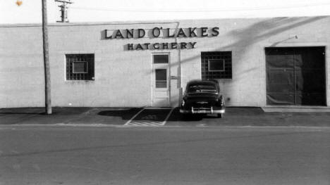 Land O' Lakes Hatchery, Aitkin Minnesota, 1963