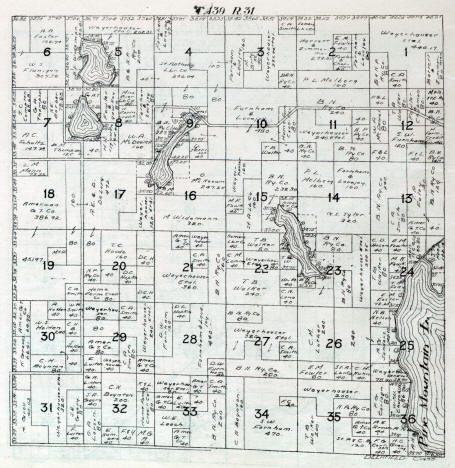 Plat map of Deerfield Township in Cass County, Minnesota, 1916