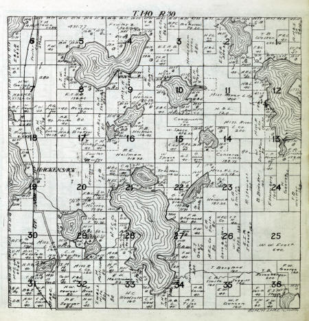 Plat map of Birch Lake Township in Cass County Minnesota, 1916