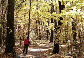 Foothills State Forest, Hackensack Minnesota