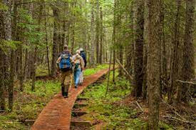 North Country Trail in Minnesota