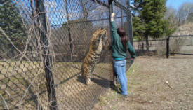 Pine Grove Primeval Park and Zoo, Little Falls Minnesota