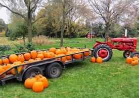 Triple S Pumpkin Farm, Royalton Minnesota