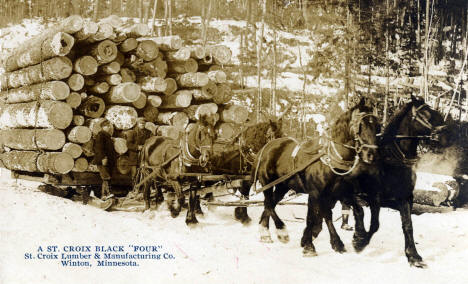 The St. Crois Black Four. One of the many horse teams used to drag logs out of the woods near Winton Minnesota, 1910's