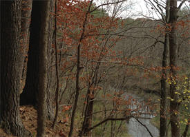 Wykoff Balsam Fir Scientific and Natural Area  