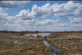 Carlos Avery Wildife Management Area