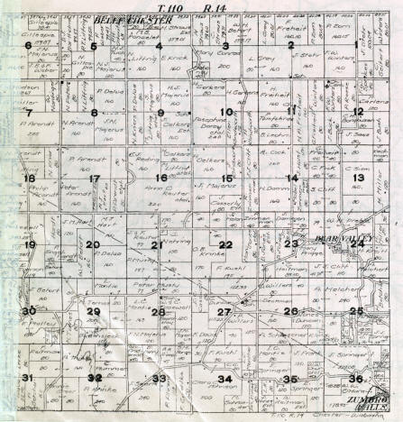 Plat map of Chester Township in Wabasha County, 1916