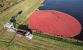 Minnesota Cranberry Company, Aitkin, Minnesota