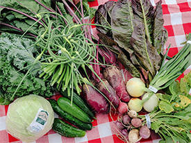 Maple Ridge Produce, Aitkin, Minnesota