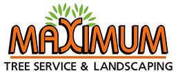 Maximum Tree Service, Aitkin, Minnesota