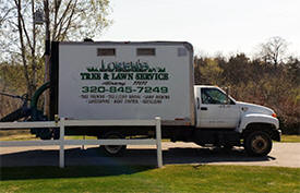 Loren's Tree & Lawn Service, Albany, Minnesota