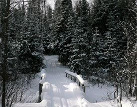 Flathorn-Gegoka Cross-Country Ski Trail