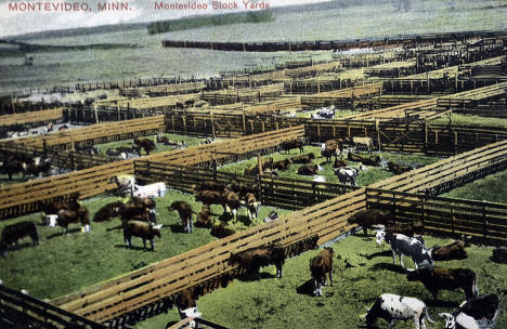 Stockyards, Montevideo, Minnesota, 1910