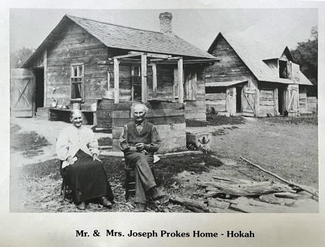 Residence of Mr. and Mrs. James Prokes, Hokah Minnesota, 1890s