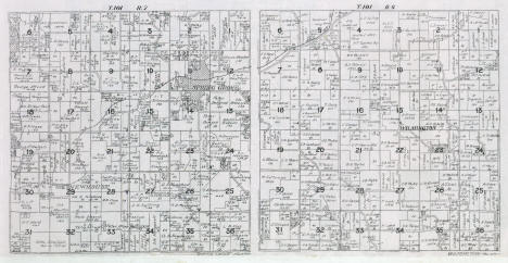 Plat map, Spring Grove and Wilmington Townships in Houston County, Minnesota, 1916