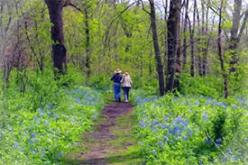 Carley State Park, Plainview, Minnesota