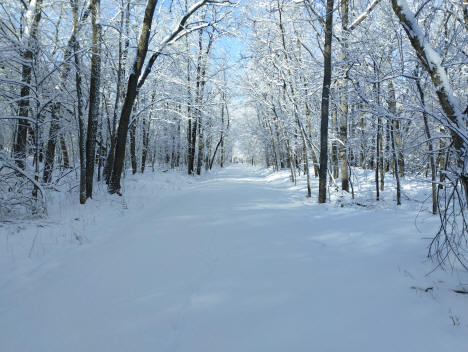 Cannon Valley Trail, near Red Wing, Minnesota, February 2024