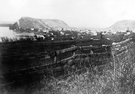 General view, Red Wing, Minnesota, 1865